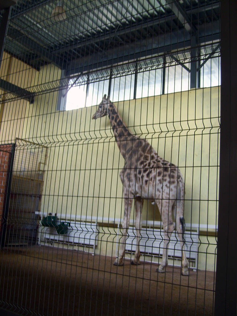 Wycieczka do ZOO, zdjęcie 58 z 127