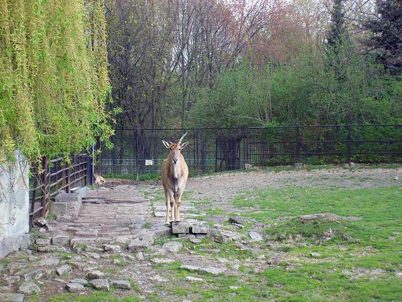 Wycieczka do ZOO, zdjęcie 59 z 127