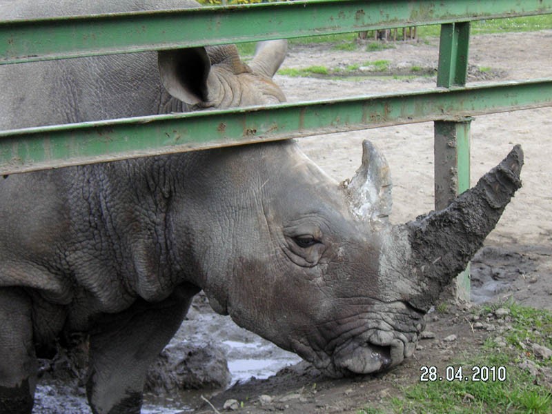 Wycieczka do ZOO, zdjęcie 62 z 127