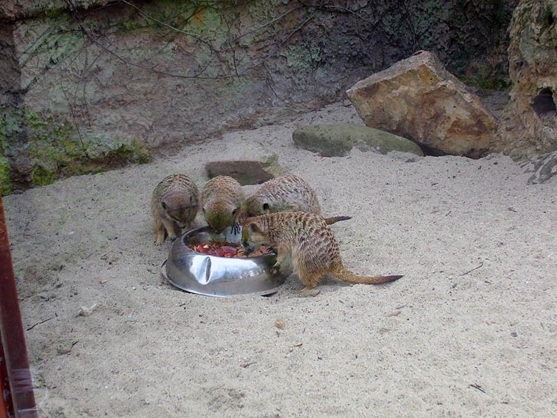 Wycieczka do ZOO, zdjęcie 64 z 127