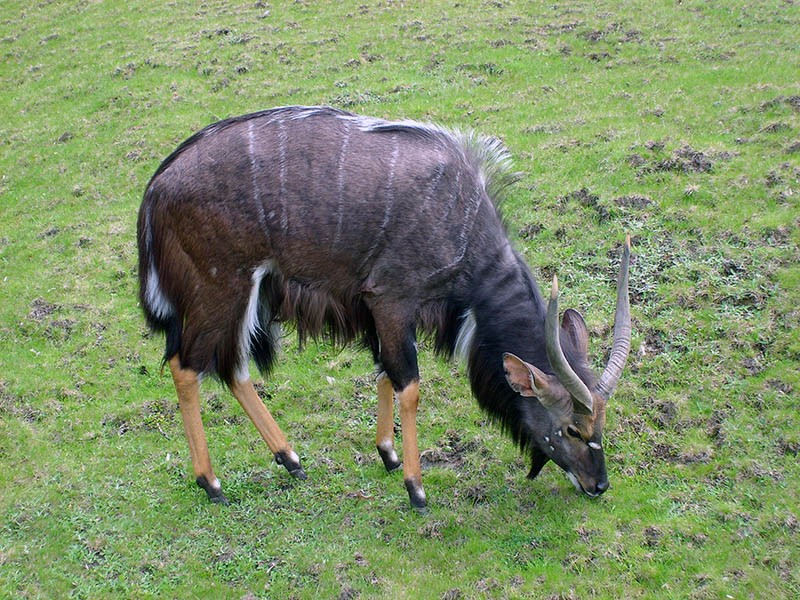 Wycieczka do ZOO, zdjęcie 68 z 127