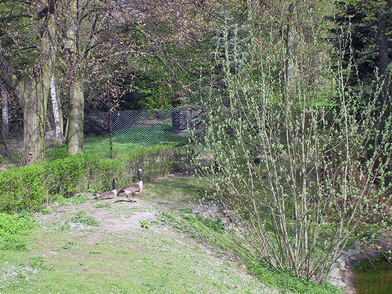 Wycieczka do ZOO, zdjęcie 69 z 127