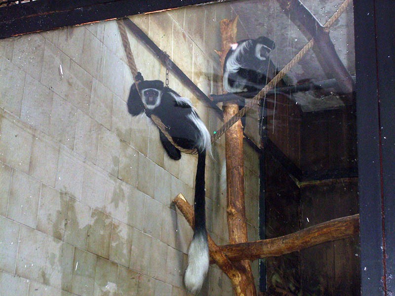 Wycieczka do ZOO, zdjęcie 70 z 127