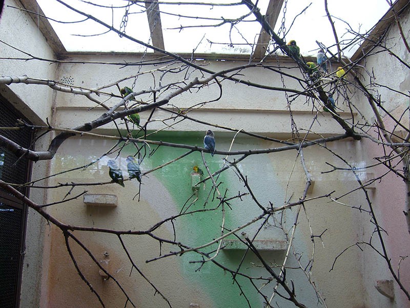 Wycieczka do ZOO, zdjęcie 74 z 127