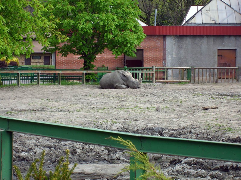 Wycieczka do ZOO, zdjęcie 76 z 127