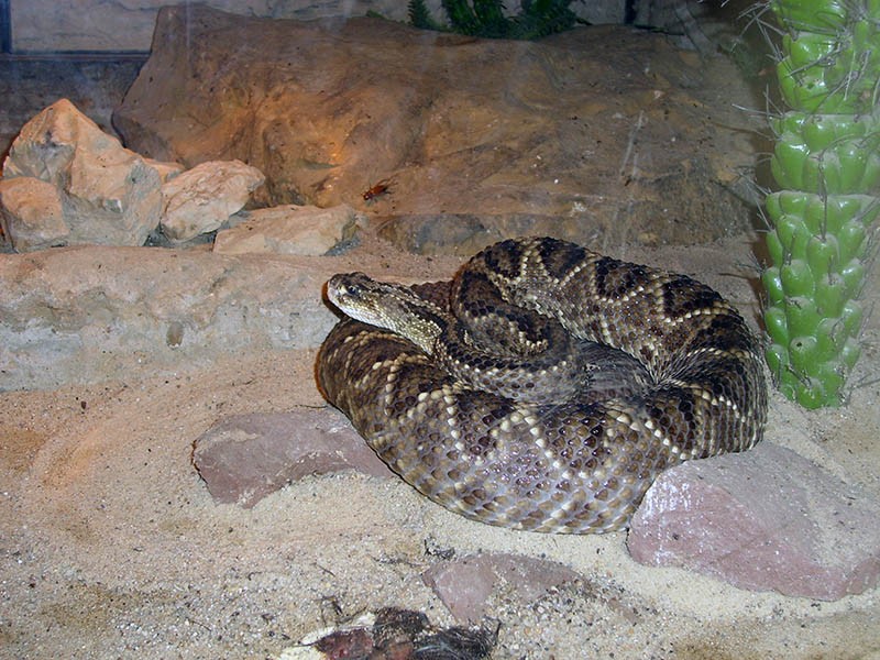Wycieczka do ZOO, zdjęcie 77 z 127