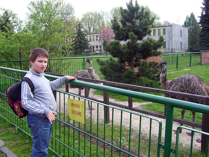 Wycieczka do ZOO, zdjęcie 79 z 127