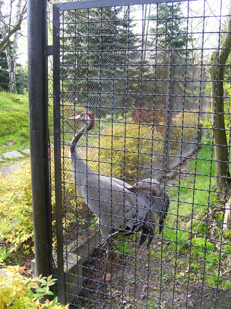 Wycieczka do ZOO, zdjęcie 80 z 127