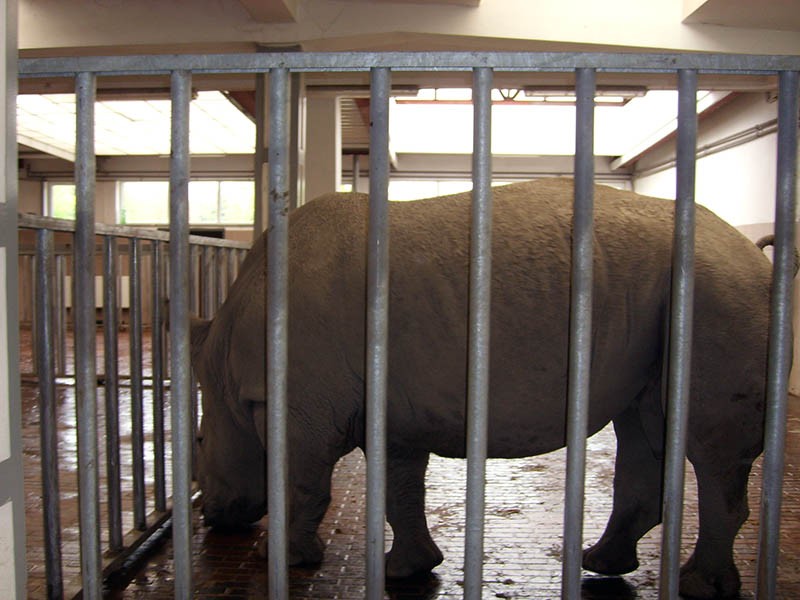 Wycieczka do ZOO, zdjęcie 81 z 127