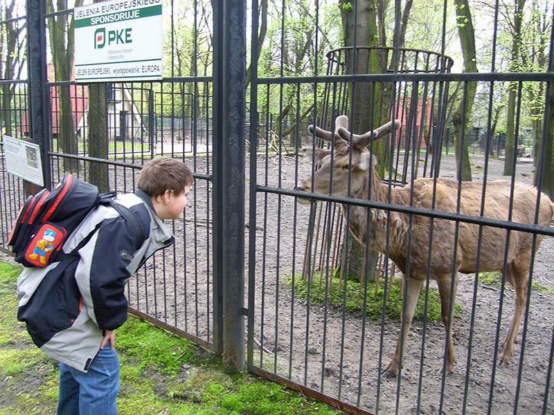 Wycieczka do ZOO, zdjęcie 83 z 127