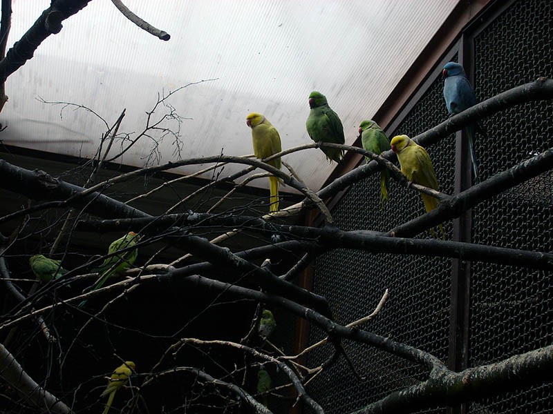 Wycieczka do ZOO, zdjęcie 85 z 127