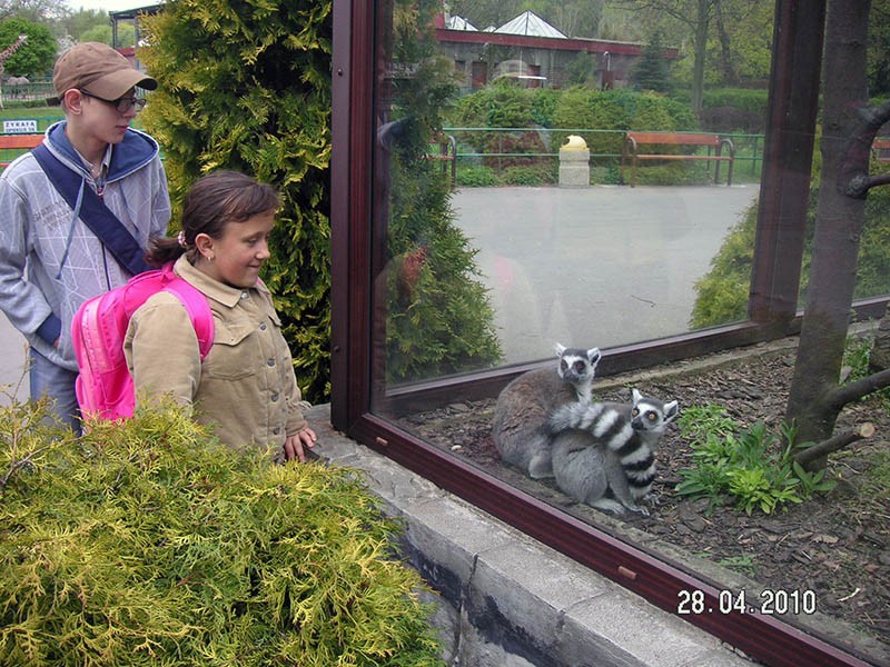 Wycieczka do ZOO, zdjęcie 90 z 127