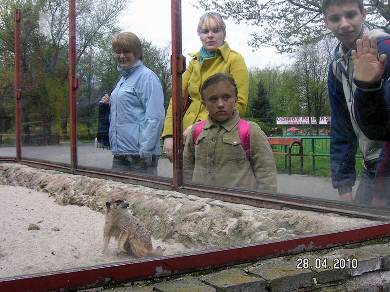 Wycieczka do ZOO, zdjęcie 94 z 127