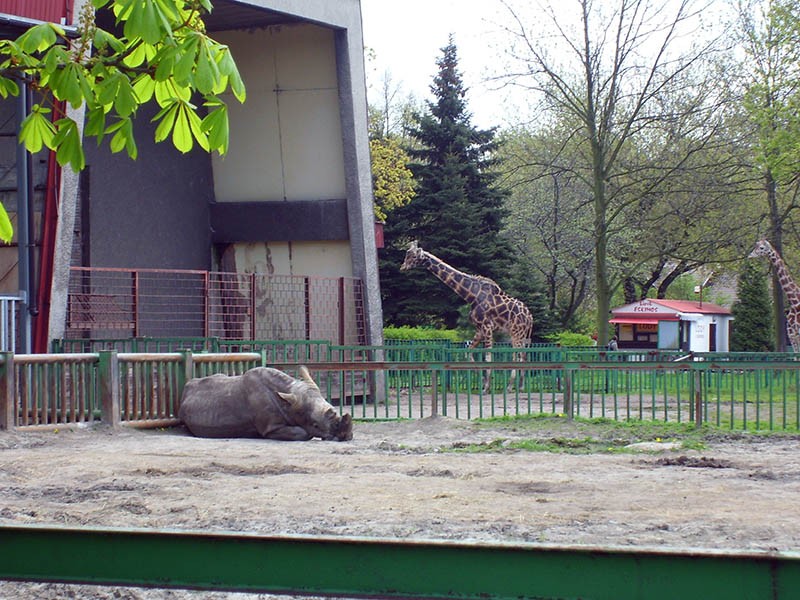 Wycieczka do ZOO, zdjęcie 97 z 127
