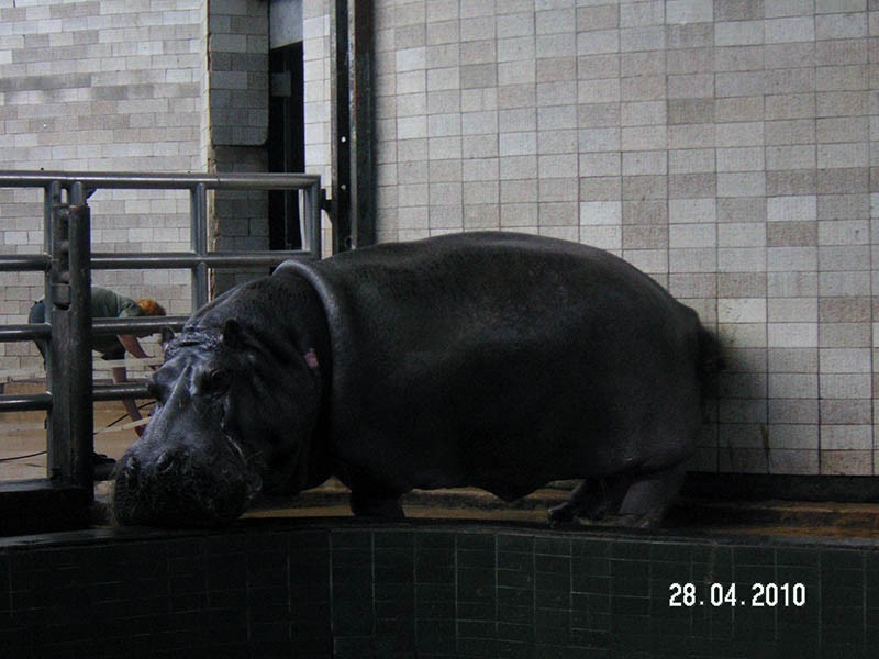 Wycieczka do ZOO, zdjęcie 98 z 127