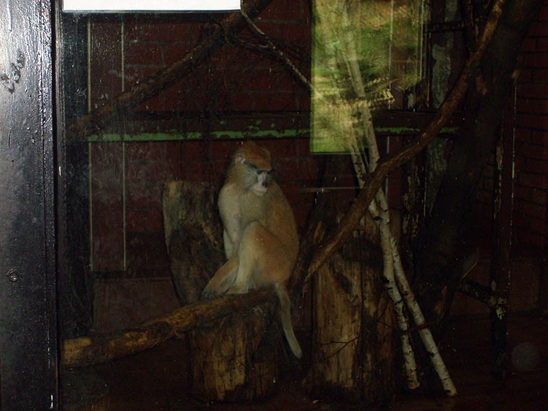 Wycieczka do ZOO, zdjęcie 99 z 127