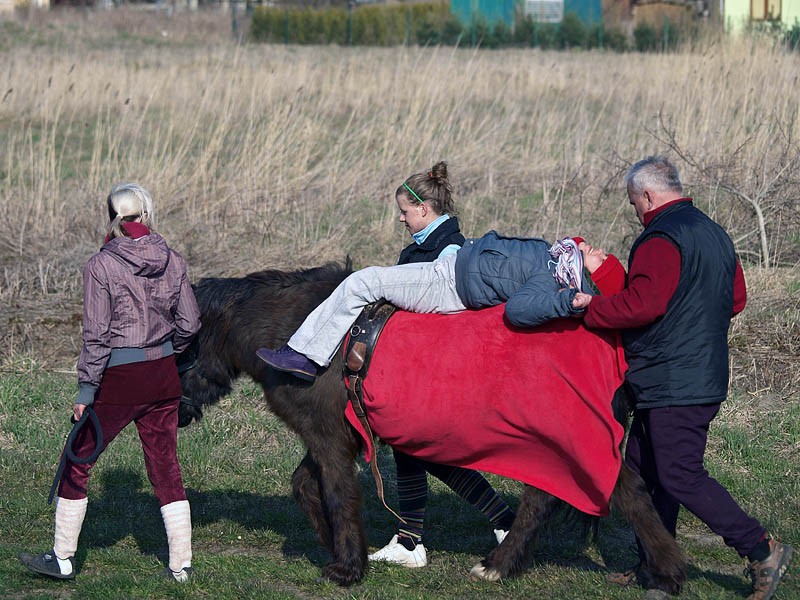 Turnusy rehabilitacyjne do Sarbinowa, zdjęcie 47 z 51