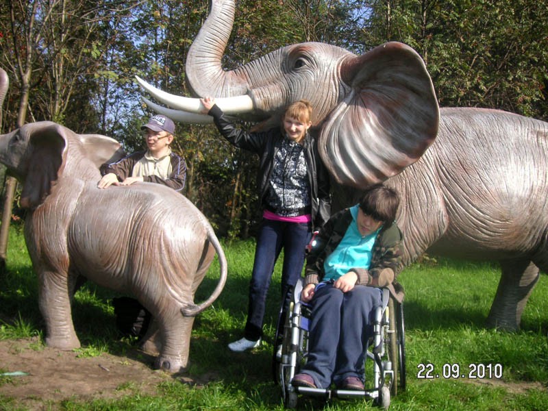 Wycieczka do parku dinozaurów, zdjęcie 20 z 53