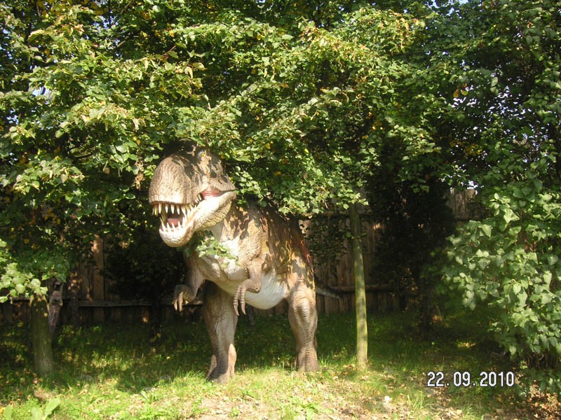 Wycieczka do parku dinozaurów, zdjęcie 35 z 53