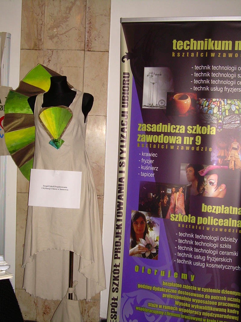 Konferencja na temat programu Comenius i Leonardo da Vinci, zdjęcie 3 z 13
