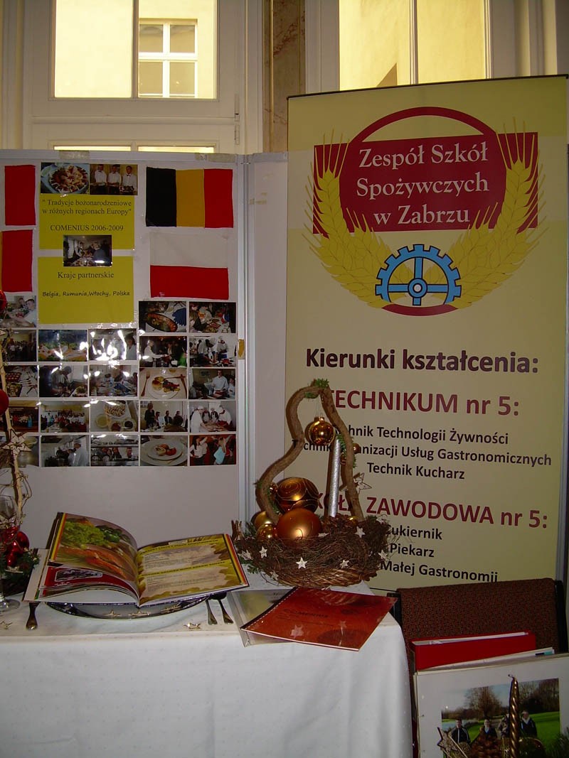 Konferencja na temat programu Comenius i Leonardo da Vinci, zdjęcie 4 z 13