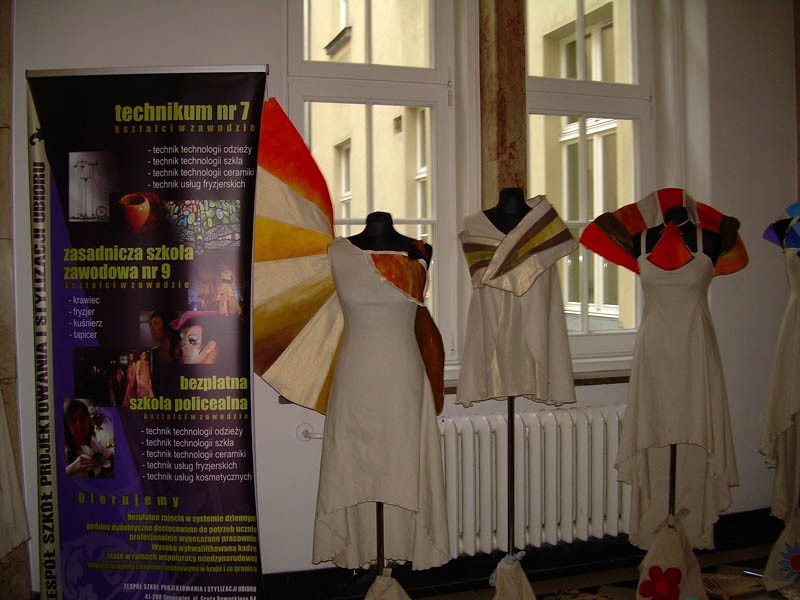 Konferencja na temat programu Comenius i Leonardo da Vinci, zdjęcie 12 z 13