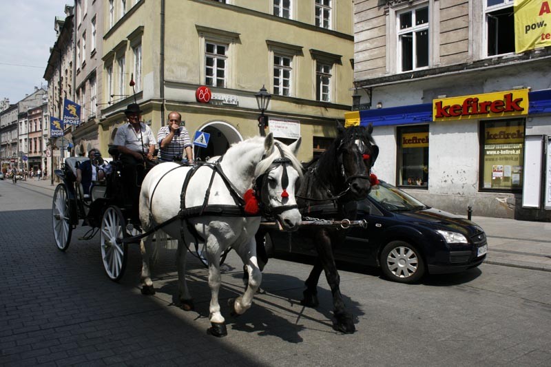 Wycieczka do Krakowa, zdjęcie 9 z 14