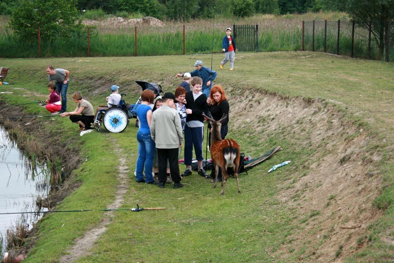 Wędkowanie, zdjęcie 15 z 27