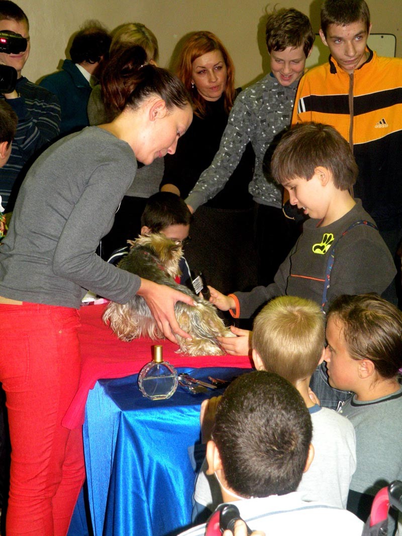 Święto Zwierząt i Dzień Edukacji Narodowej, zdjęcie 60 z 63
