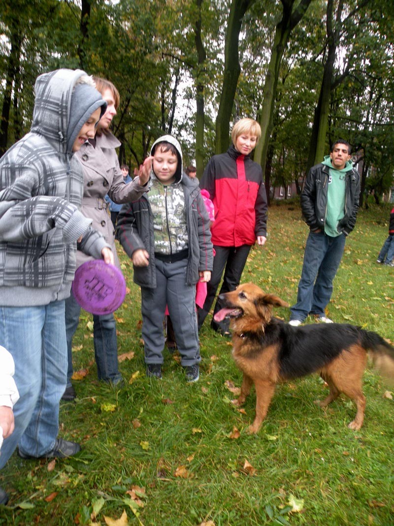 Święto Zwierząt i Dzień Edukacji Narodowej, zdjęcie 63 z 63
