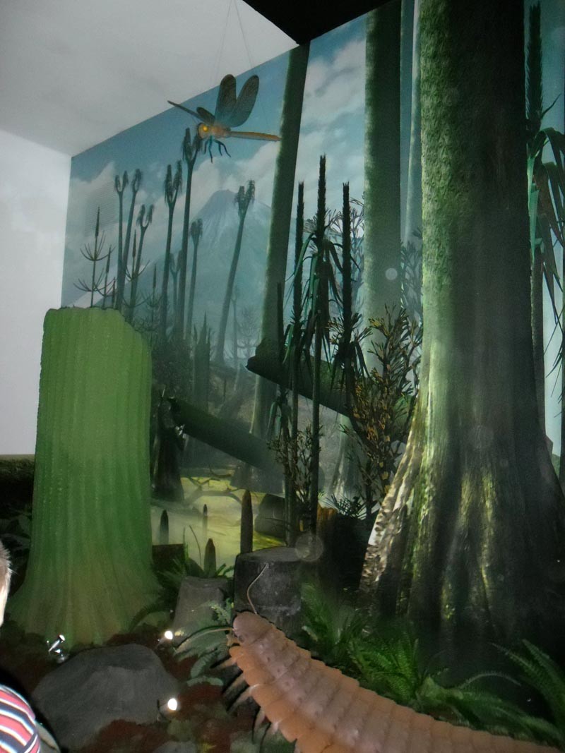 Wyjście do Muzeum Górnictwa Węglowego w Zabrzu, zdjęcie 3 z 25