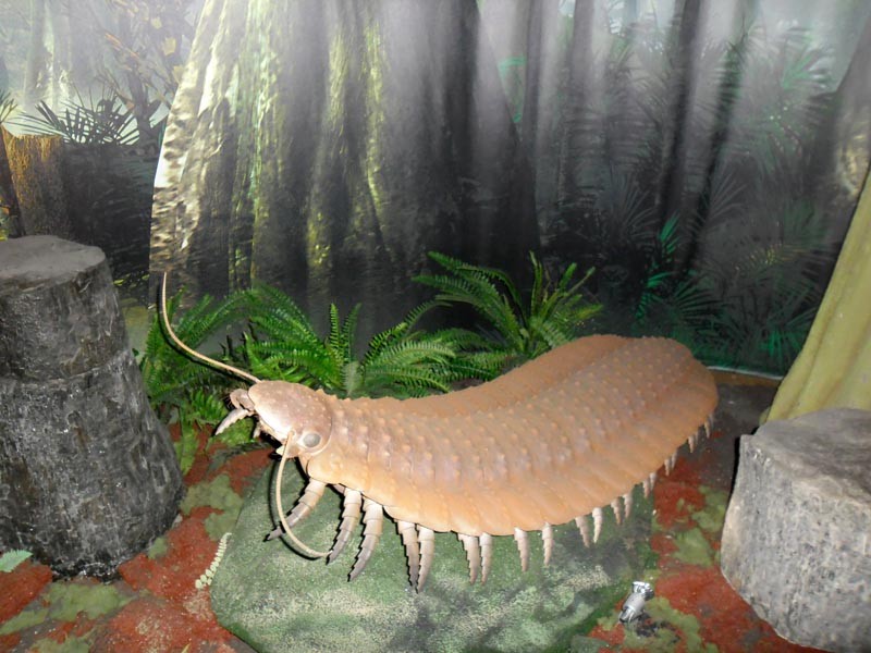 Wyjście do Muzeum Górnictwa Węglowego w Zabrzu, zdjęcie 5 z 25