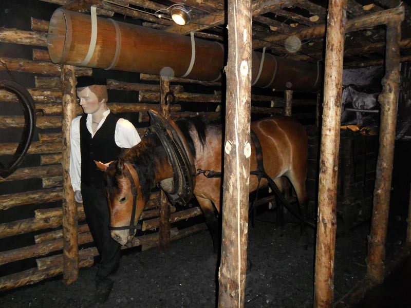 Wyjście do Muzeum Górnictwa Węglowego w Zabrzu, zdjęcie 14 z 25