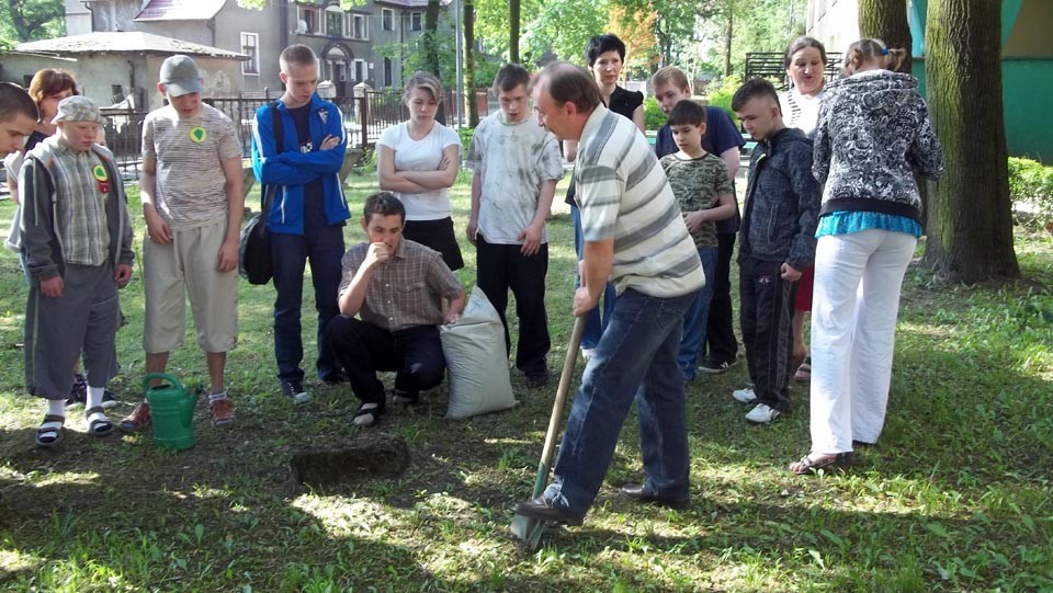 Bukowe drzewko z 30-tką szkolnych doświadczeń w Zespole Szkół Specjalnych Nr 41 w Zabrzu, zdjęcie 2 z 14