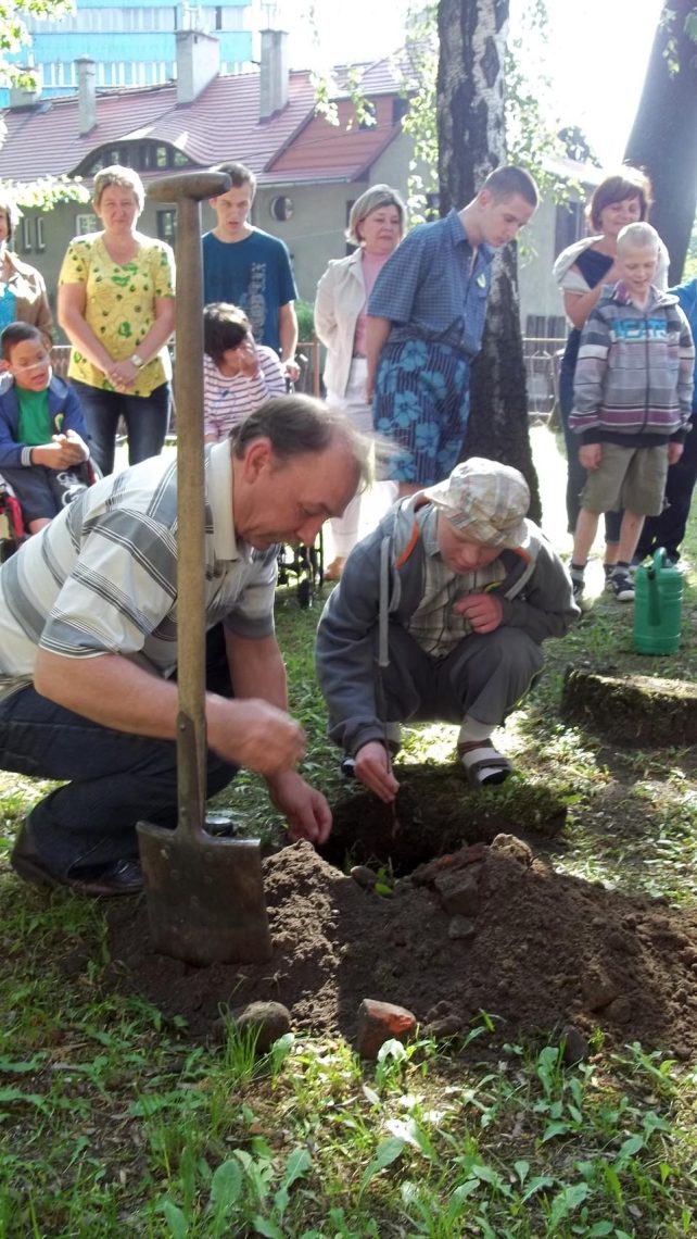 Bukowe drzewko z 30-tką szkolnych doświadczeń w Zespole Szkół Specjalnych Nr 41 w Zabrzu, zdjęcie 5 z 14
