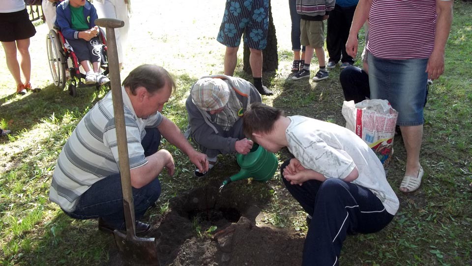 Bukowe drzewko z 30-tką szkolnych doświadczeń w Zespole Szkół Specjalnych Nr 41 w Zabrzu, zdjęcie 8 z 14