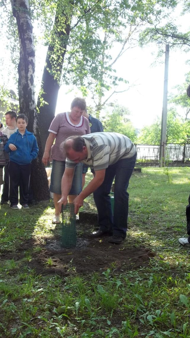 Bukowe drzewko z 30-tką szkolnych doświadczeń w Zespole Szkół Specjalnych Nr 41 w Zabrzu, zdjęcie 10 z 14