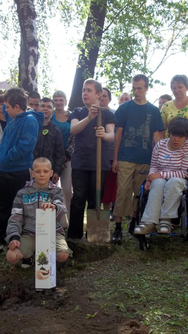 Bukowe drzewko z 30-tką szkolnych doświadczeń w Zespole Szkół Specjalnych Nr 41 w Zabrzu, zdjęcie 11 z 14