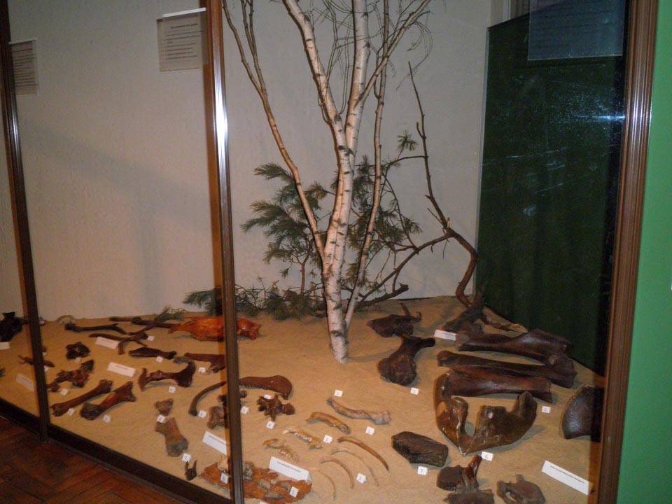 Wyjście do Muzeum Górnictwa Węglowego, zdjęcie 1 z 20