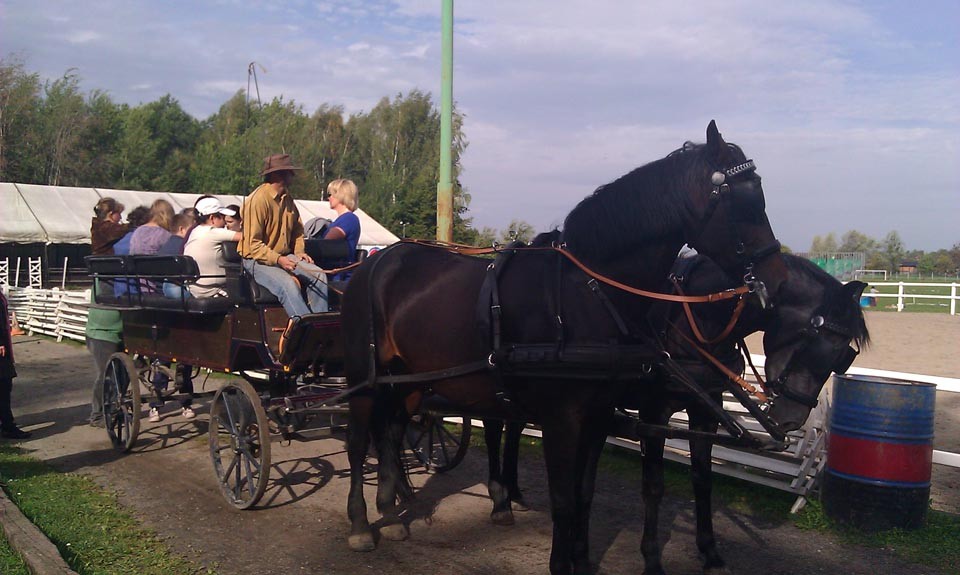 Pożegnanie lata w Czechowicach, zdjęcie 25 z 50