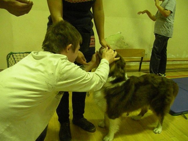Obchody Światowego Dnia Zwierząt, zdjęcie 10 z 12