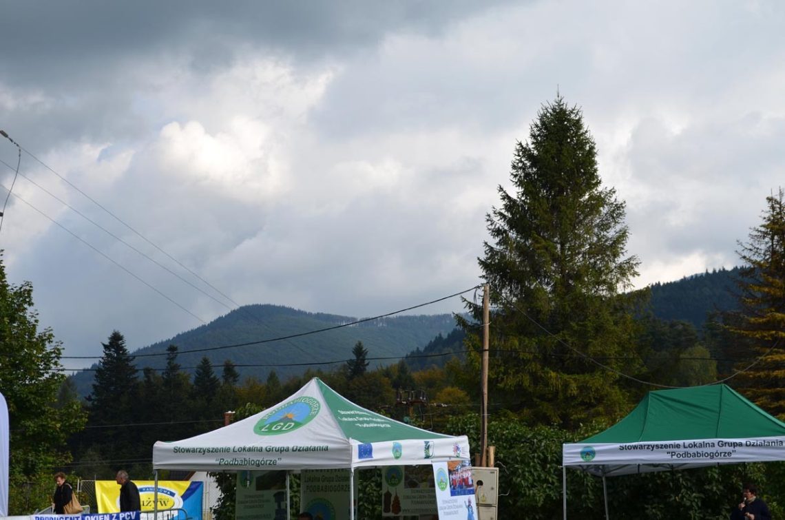 Warsztaty w Zawoi w ramach projektu Comenius, zdjęcie 26 z 39