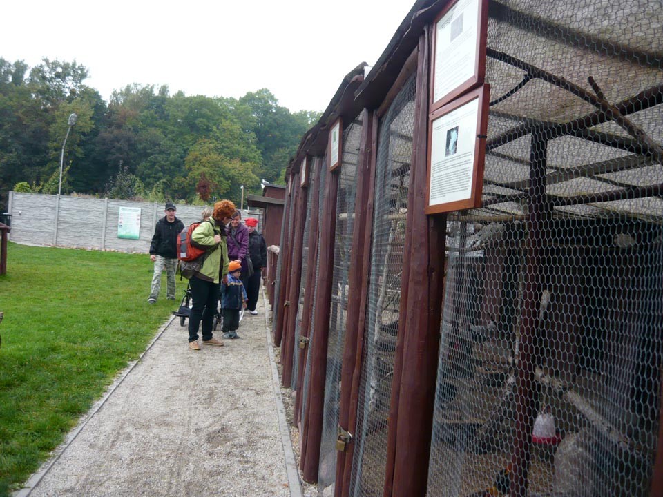 Wyjazd rekreacyjny do Parku Przygód i Atrakcji w Zbrosławicach, zdjęcie 3 z 97