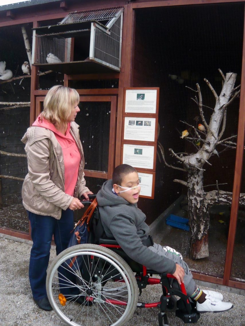 Wyjazd rekreacyjny do Parku Przygód i Atrakcji w Zbrosławicach, zdjęcie 6 z 97