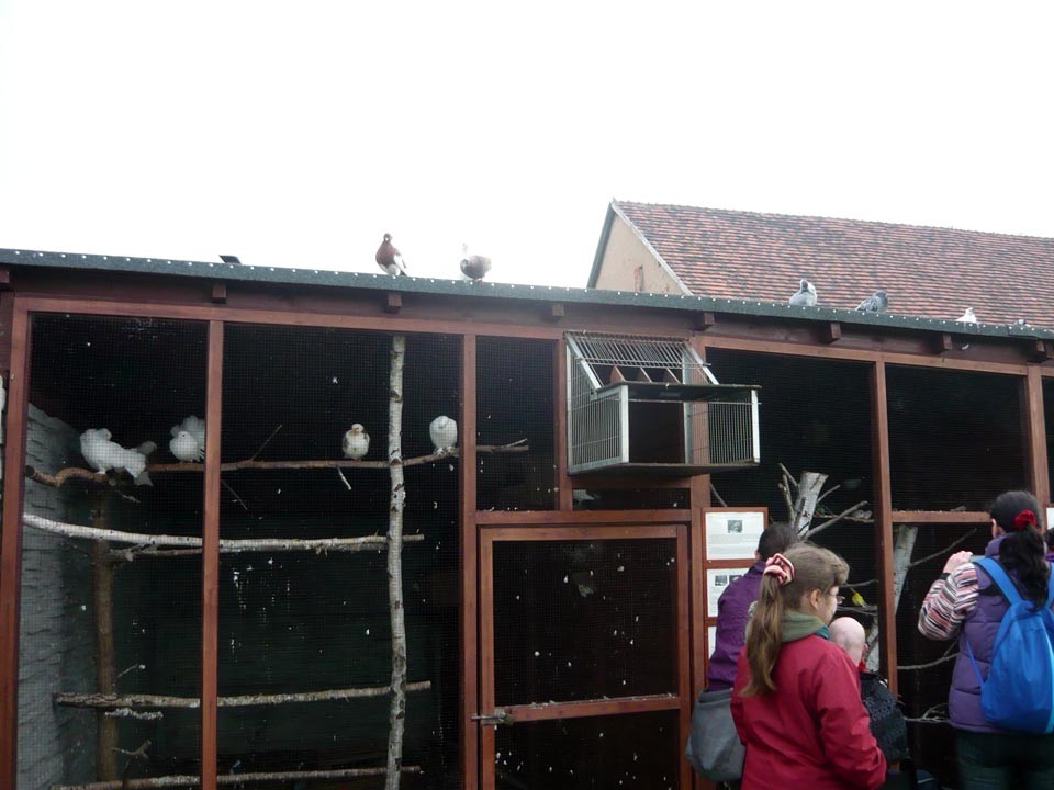 Wyjazd rekreacyjny do Parku Przygód i Atrakcji w Zbrosławicach, zdjęcie 17 z 97