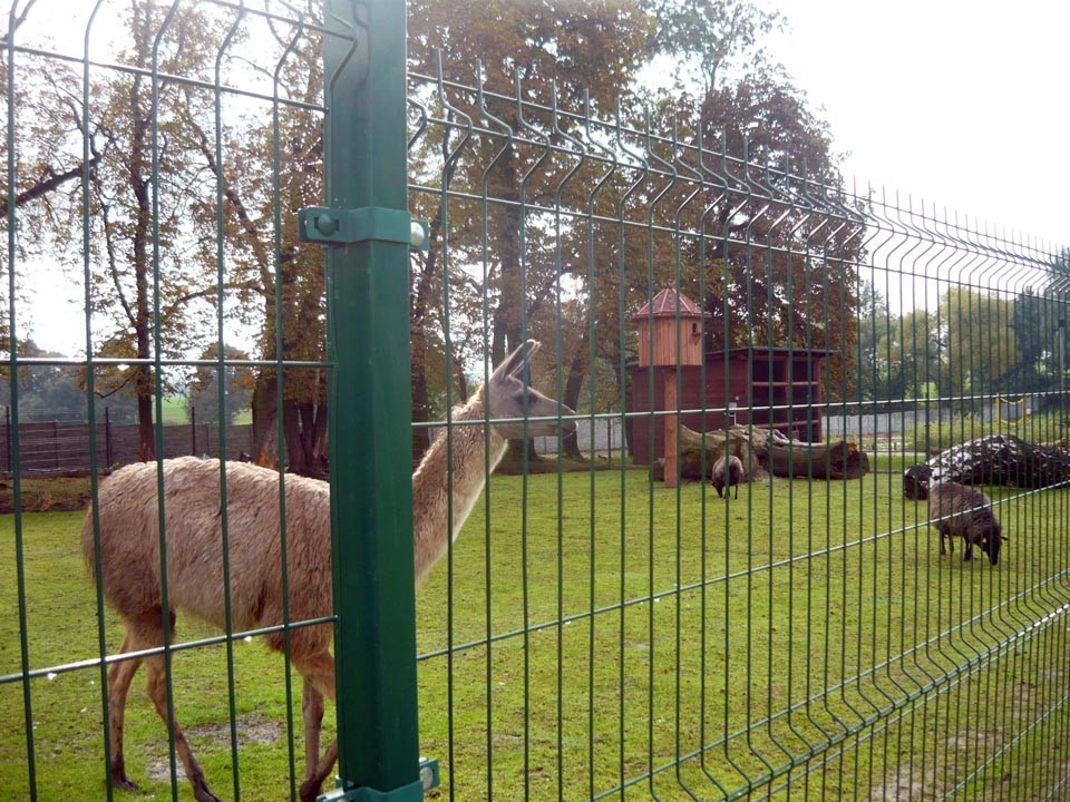 Wyjazd rekreacyjny do Parku Przygód i Atrakcji w Zbrosławicach, zdjęcie 58 z 97