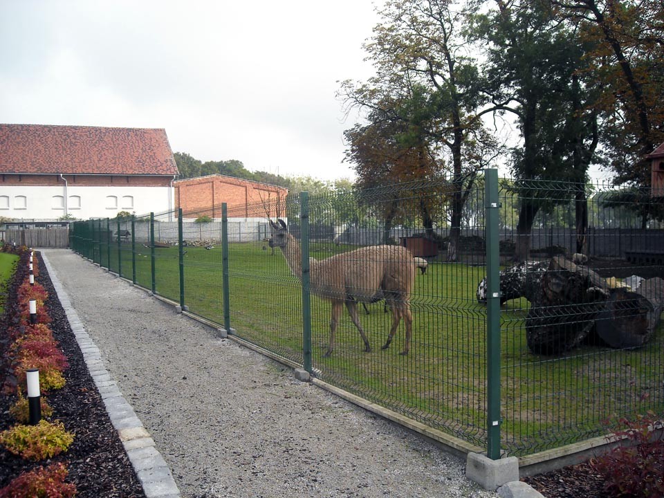 Wyjazd rekreacyjny do Parku Przygód i Atrakcji w Zbrosławicach, zdjęcie 62 z 97