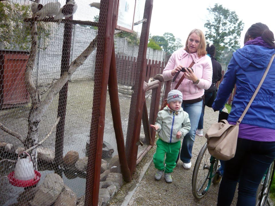 Wyjazd rekreacyjny do Parku Przygód i Atrakcji w Zbrosławicach, zdjęcie 85 z 97