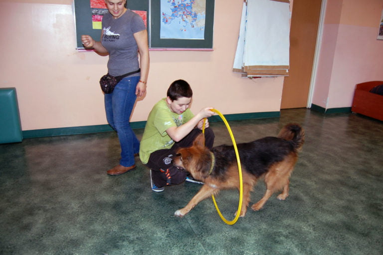 Dogoterapia 04 1