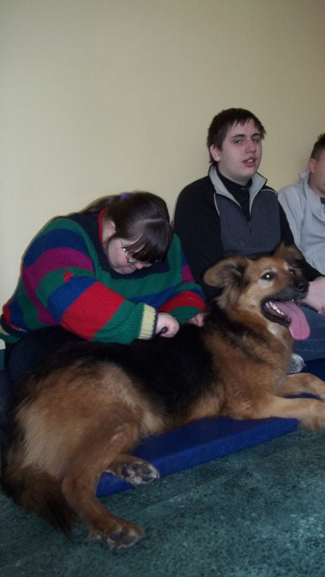 Zajecia warszatowe z dogoterapii 20